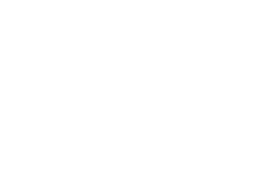 Mostly blank white image with a thin light-gray strip along the bottom.