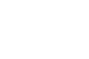 Blank white image