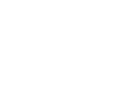 Blank white image with a faint light-gray border in the lower-right corner.
