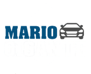 Mario Gigante logo