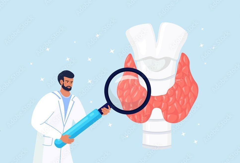 Quanto tempo dura o procedimento de ablacao da tireoide Quanto tempo dura o procedimento de ablacao da tireoide