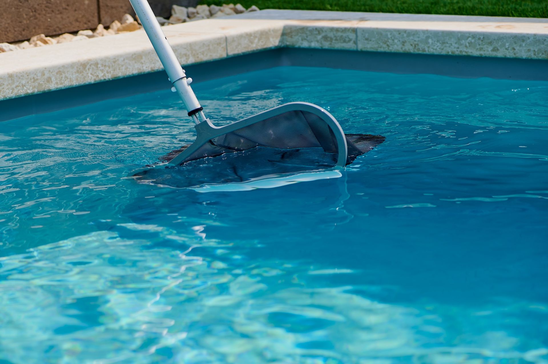 Pool skimmer net scooping debris from clear blue swimming pool water
