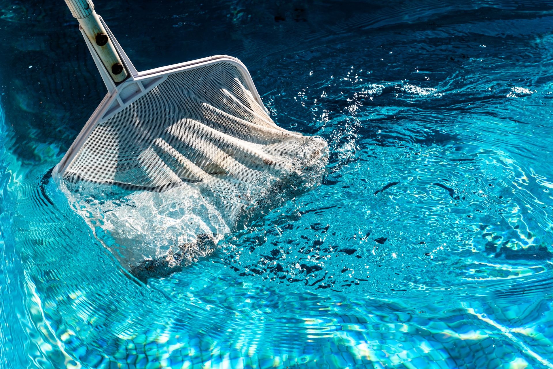 Pool skimmer net scooping debris from bright blue water