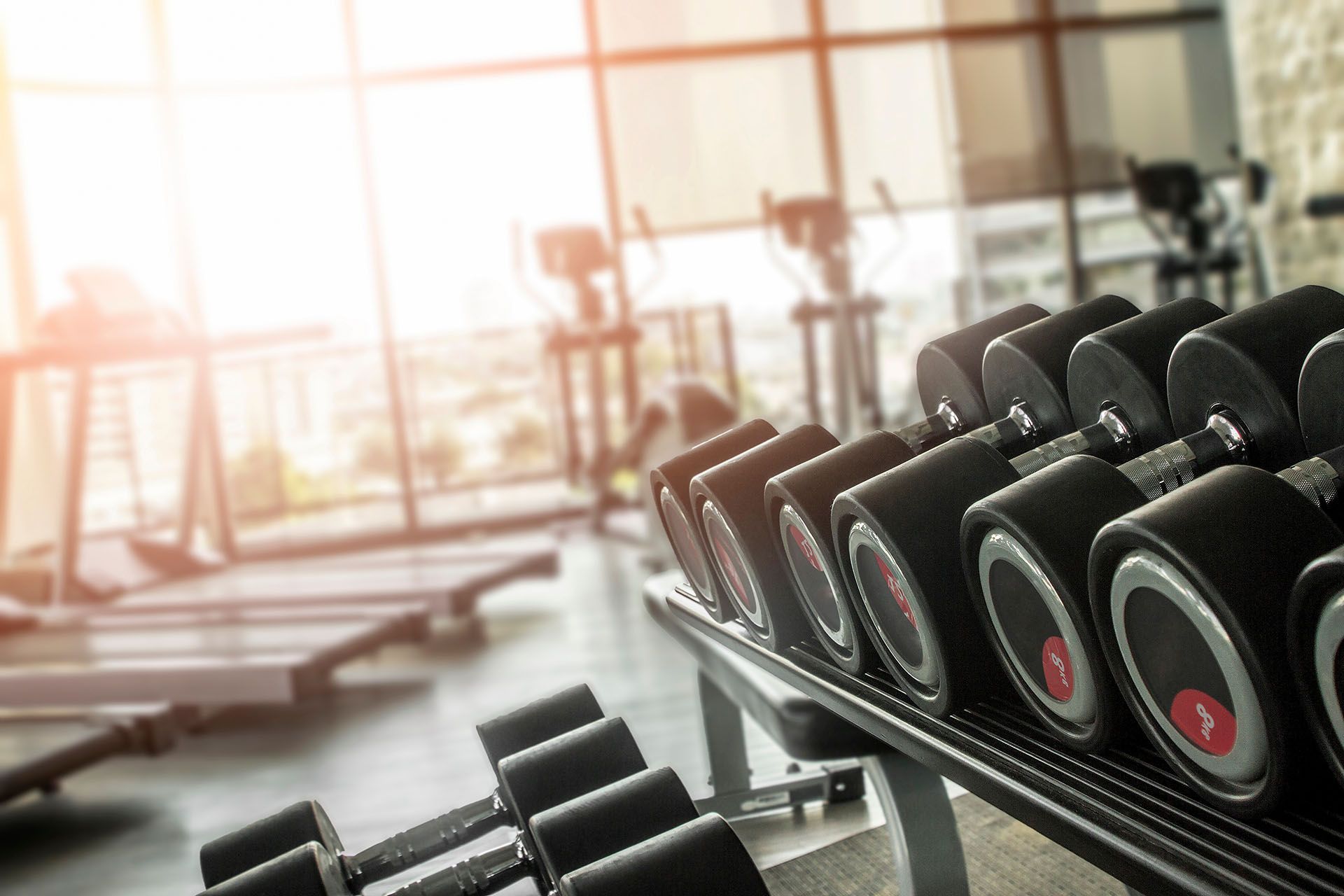 Bright, spacious gym with dumbbells, treadmills, and natural light filling the room. Bright, spacious gym with dumbbells, treadmills, and natural light filling the room.
