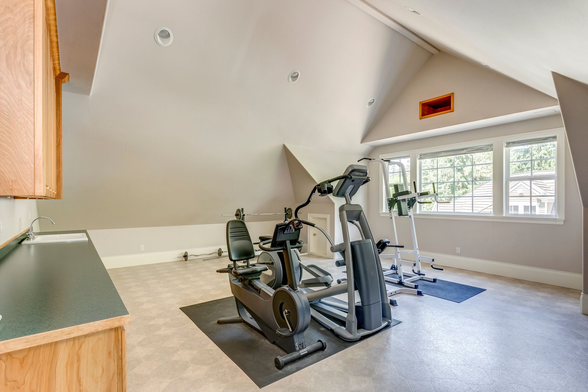 Gym equipment in a bright home fitness room with cardio and strength machines