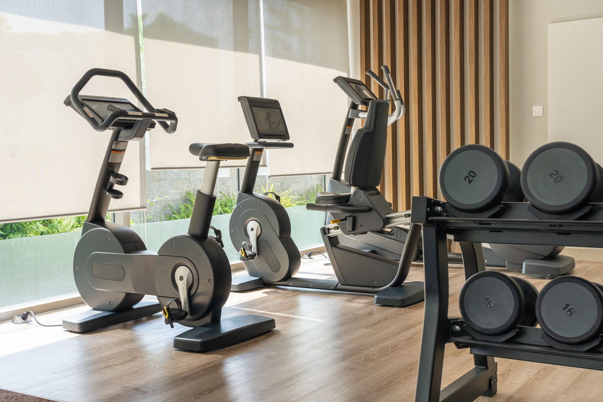 Sunlit gym featuring cardio machines, dumbbells, and racks supplied by a fitness machines supplier.