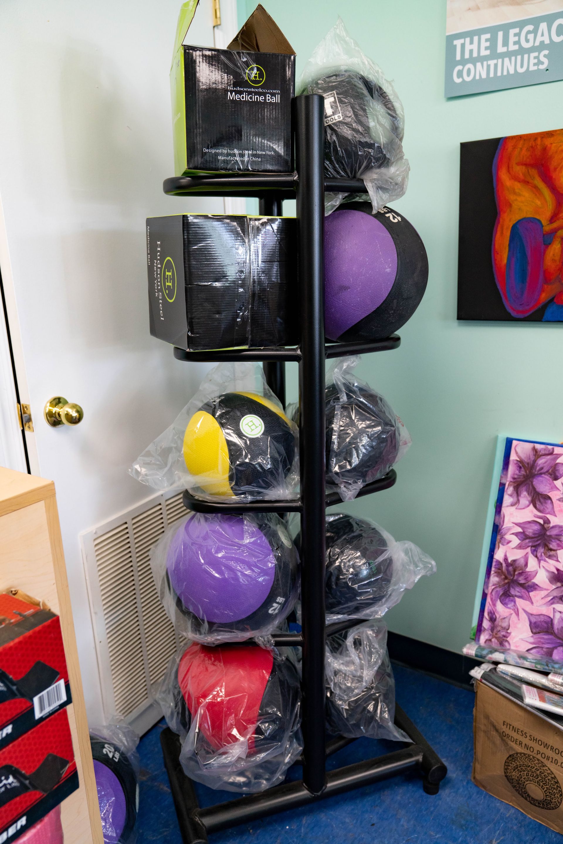 A black metal rack holds multiple colorful medicine balls, some in plastic wrapping, against a light green wall.
