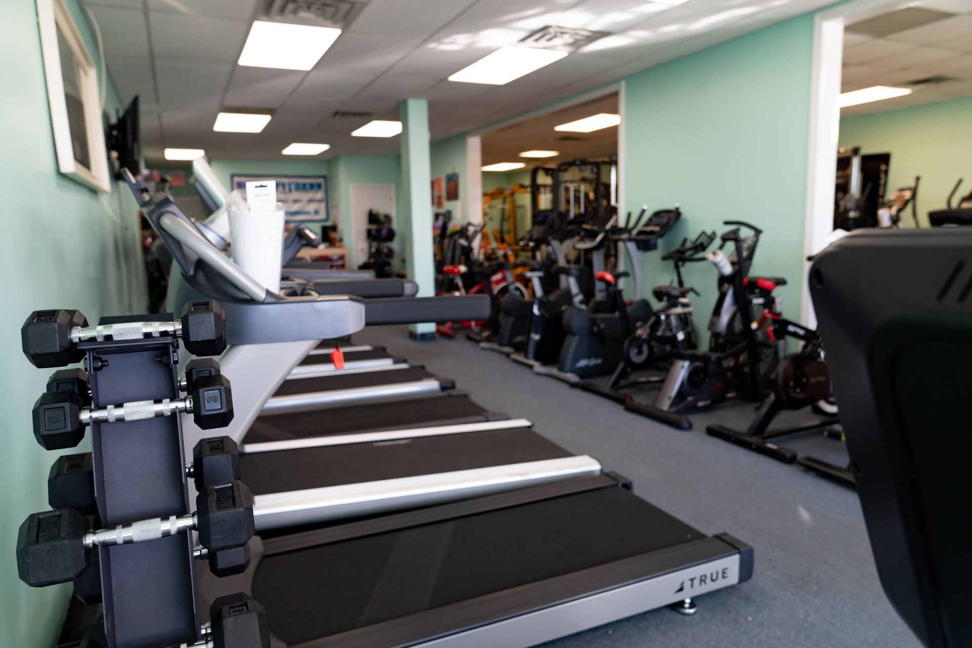 A view inside a gym with a row of treadmills in the foreground and exercise bikes in the background.