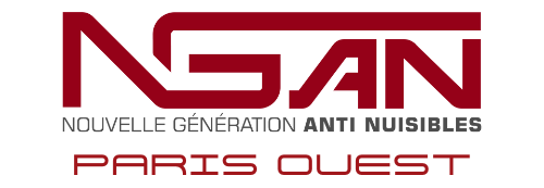 logo ngan