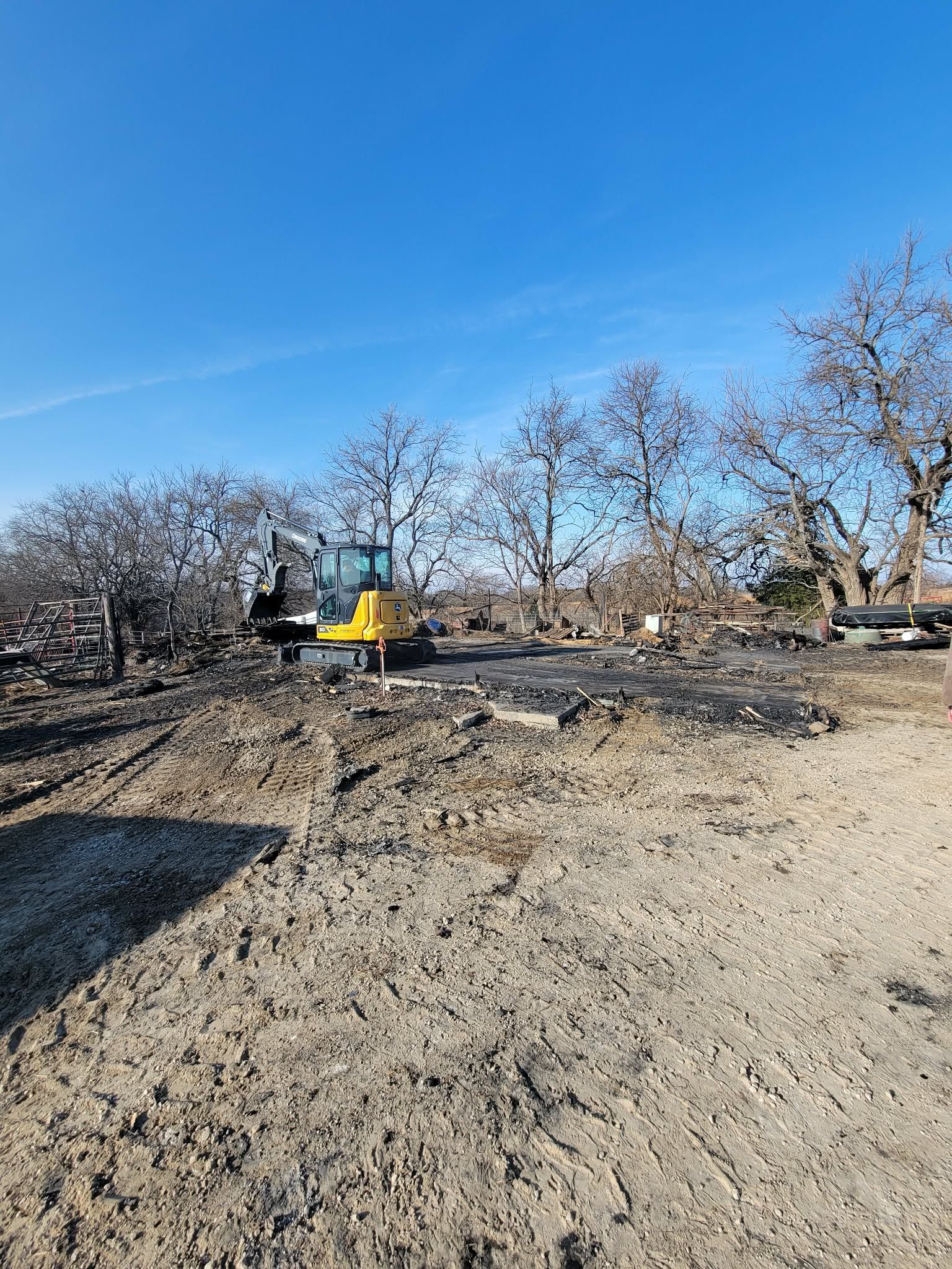 A yellow excavator works on a cleared patch of dark, debris-covered ground near a row of bare trees under a clear sky.