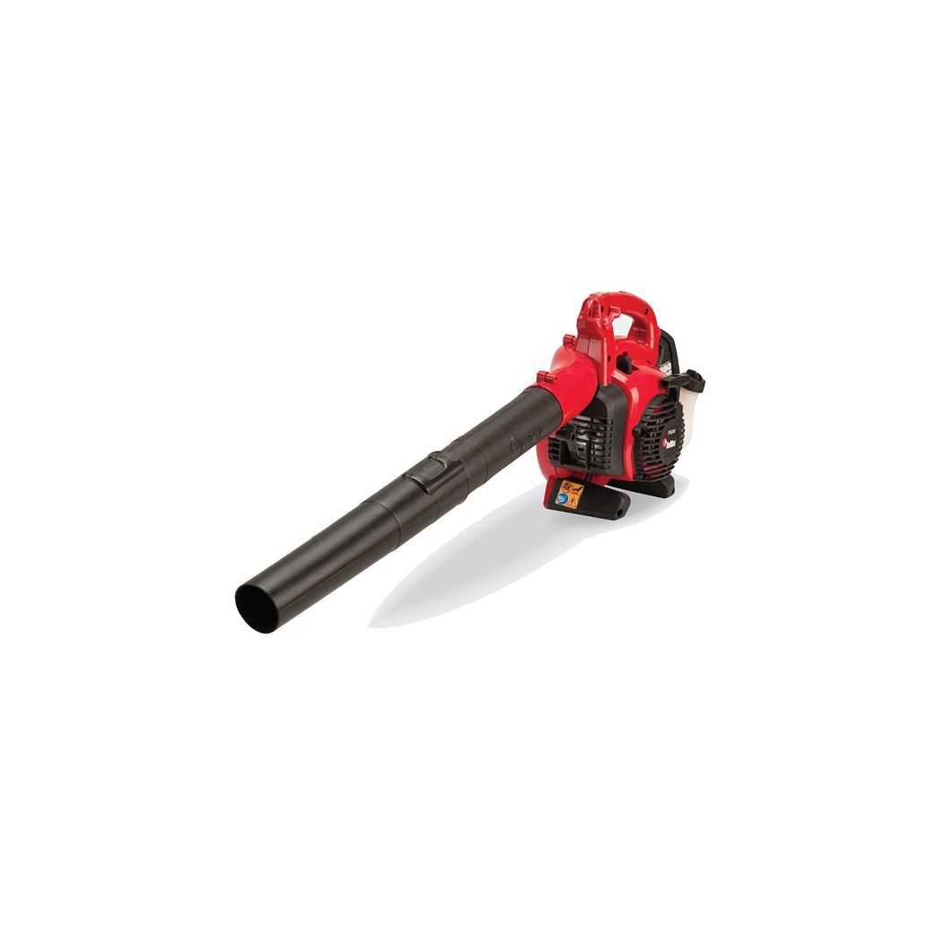 A Red and Black Leaf Blower on a White Background — Diamond Service Centre In Lismore, NSW