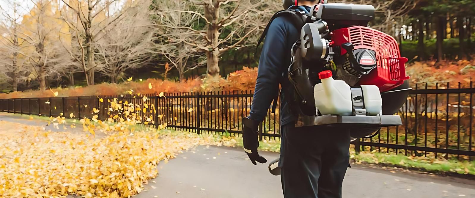 A Man is Walking Down a Path With a Blower on His Back — Diamond Service Centre In Lismore, NSW