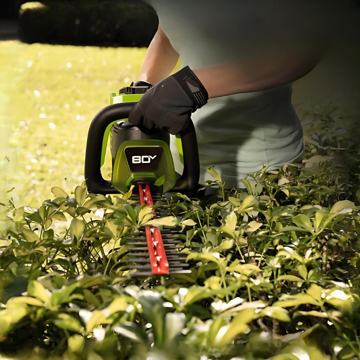 A Leaf Blower is Laying on the Grass Surrounded by Leaves — Diamond Service Centre In Lismore, NSW