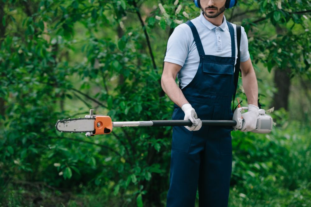 A Man in Overalls is Holding a Pole Saw in a Forest — Diamond Service Centre In Lismore, NSW