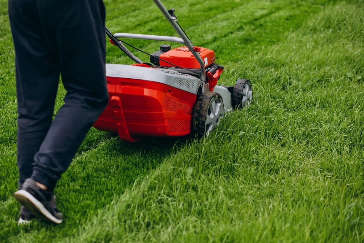 A Man is Mowing the Grass With a Red Lawn Mower — Diamond Service Centre In Lismore, NSW