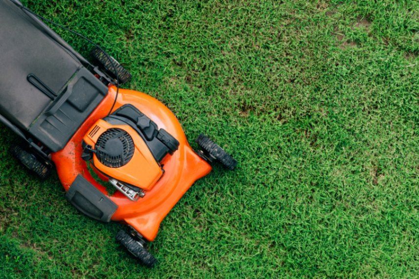 Process of Mowing Wet Grass