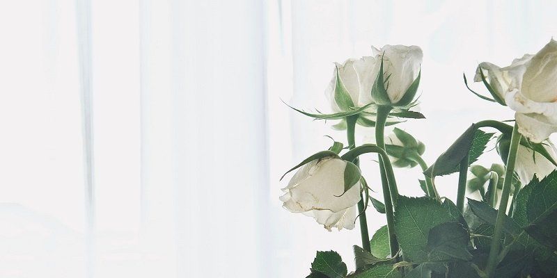 funeral homes in Coral Springs FL