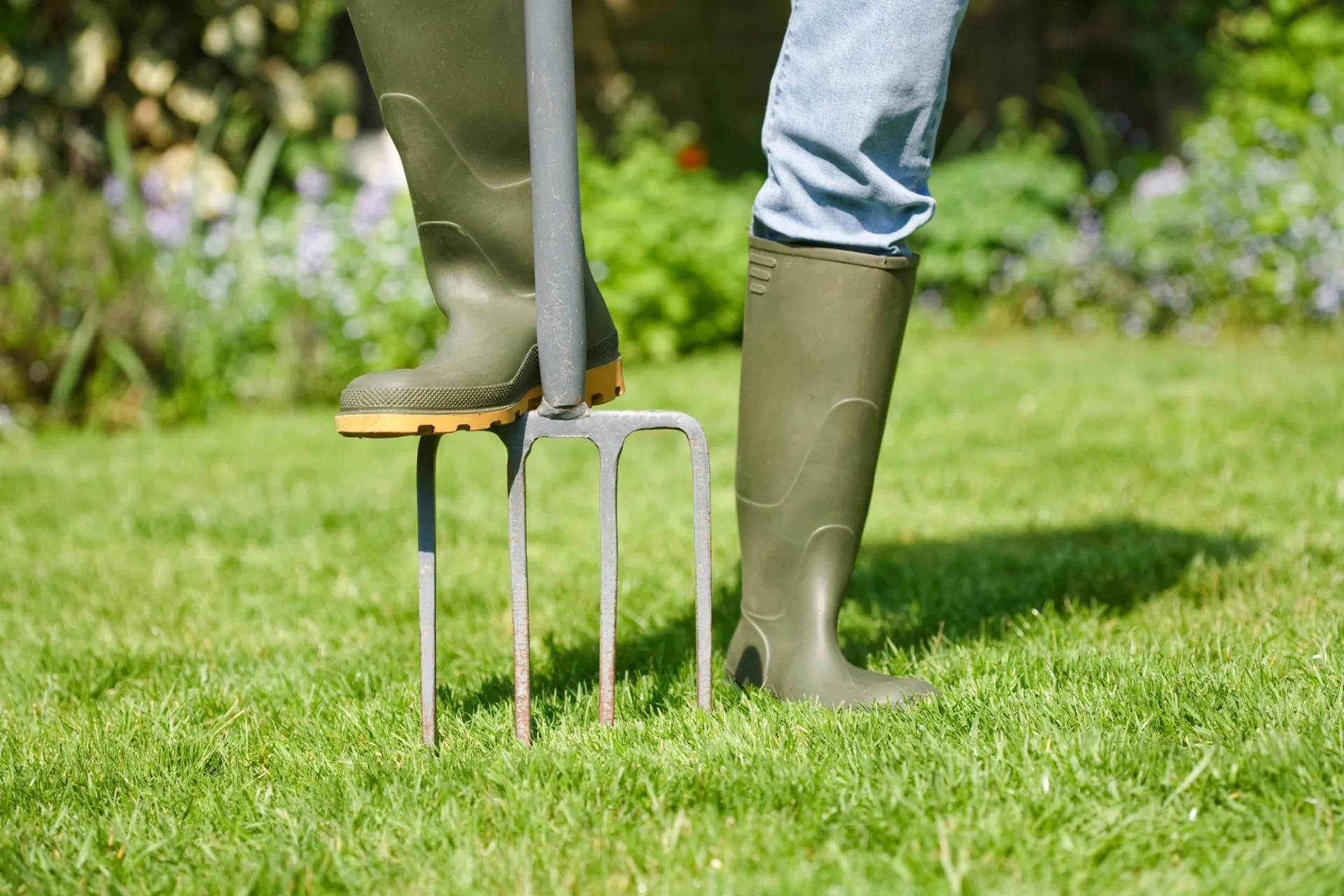 Aeration in Saugus, MA | Top Notch Services Inc. Aeration in Saugus, MA | Top Notch Services Inc.