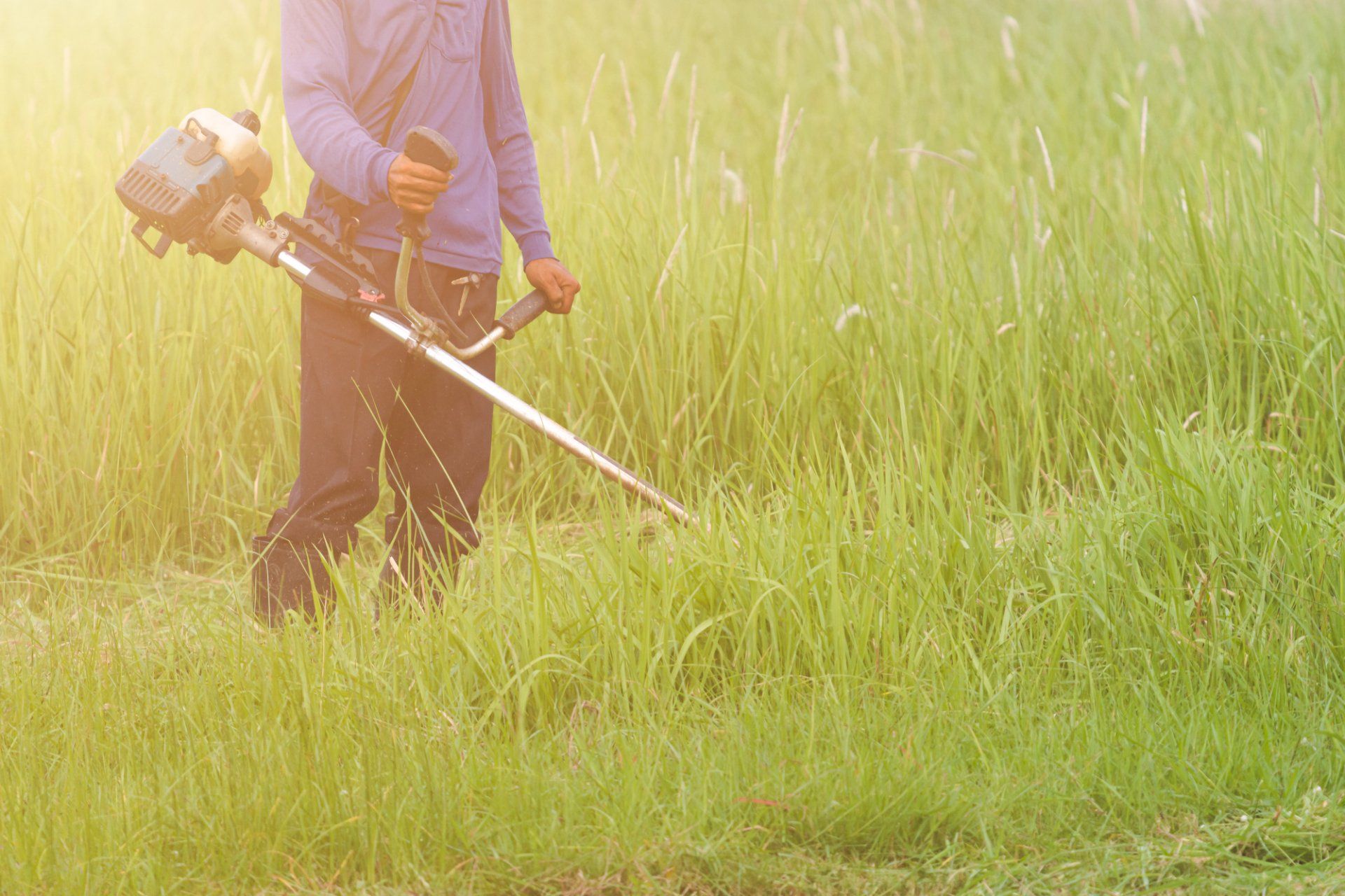 Brush Mowing in Saugus, MA | Top Notch Services Inc. Brush Mowing in Saugus, MA | Top Notch Services Inc.