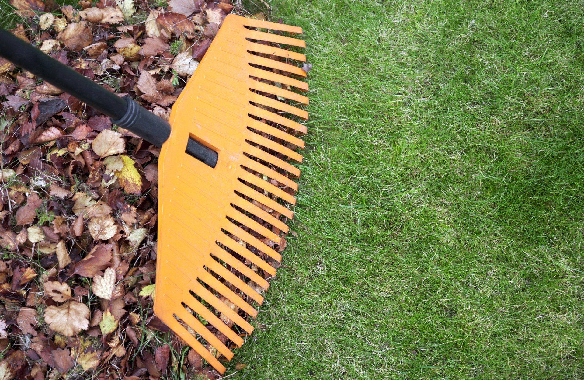 Fall Cleanups in Saugus, MA | Top Notch Services Inc. Fall Cleanups in Saugus, MA | Top Notch Services Inc.
