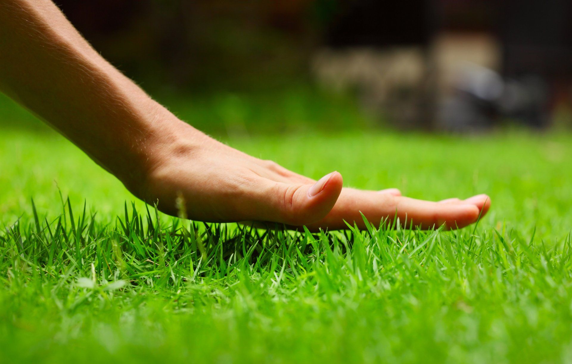 Lawn Care in Saugus, MA | Top Notch Services Inc. Lawn Care in Saugus, MA | Top Notch Services Inc.
