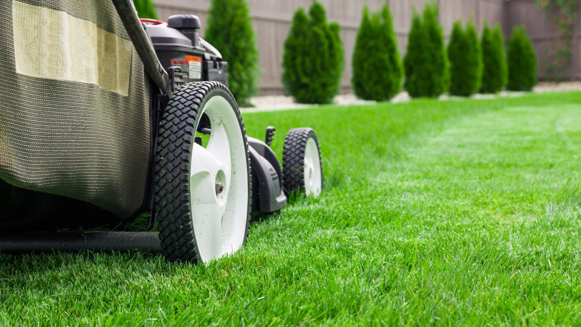 Lawn Mowing in Saugus, MA | Top Notch Services Inc. Lawn Mowing in Saugus, MA | Top Notch Services Inc.