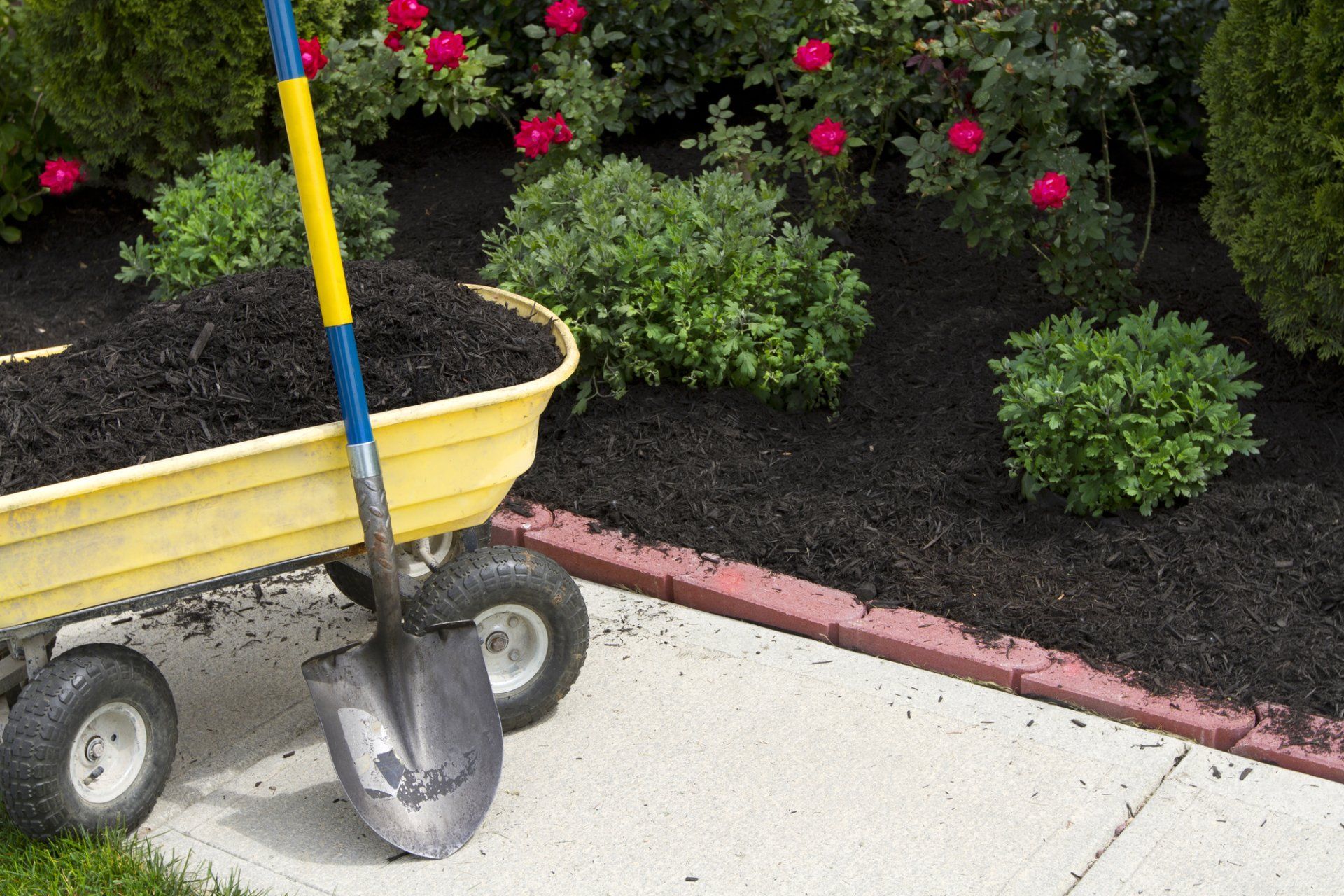 Sodding in Saugus, MA | Top Notch Services Inc. Sodding in Saugus, MA | Top Notch Services Inc.