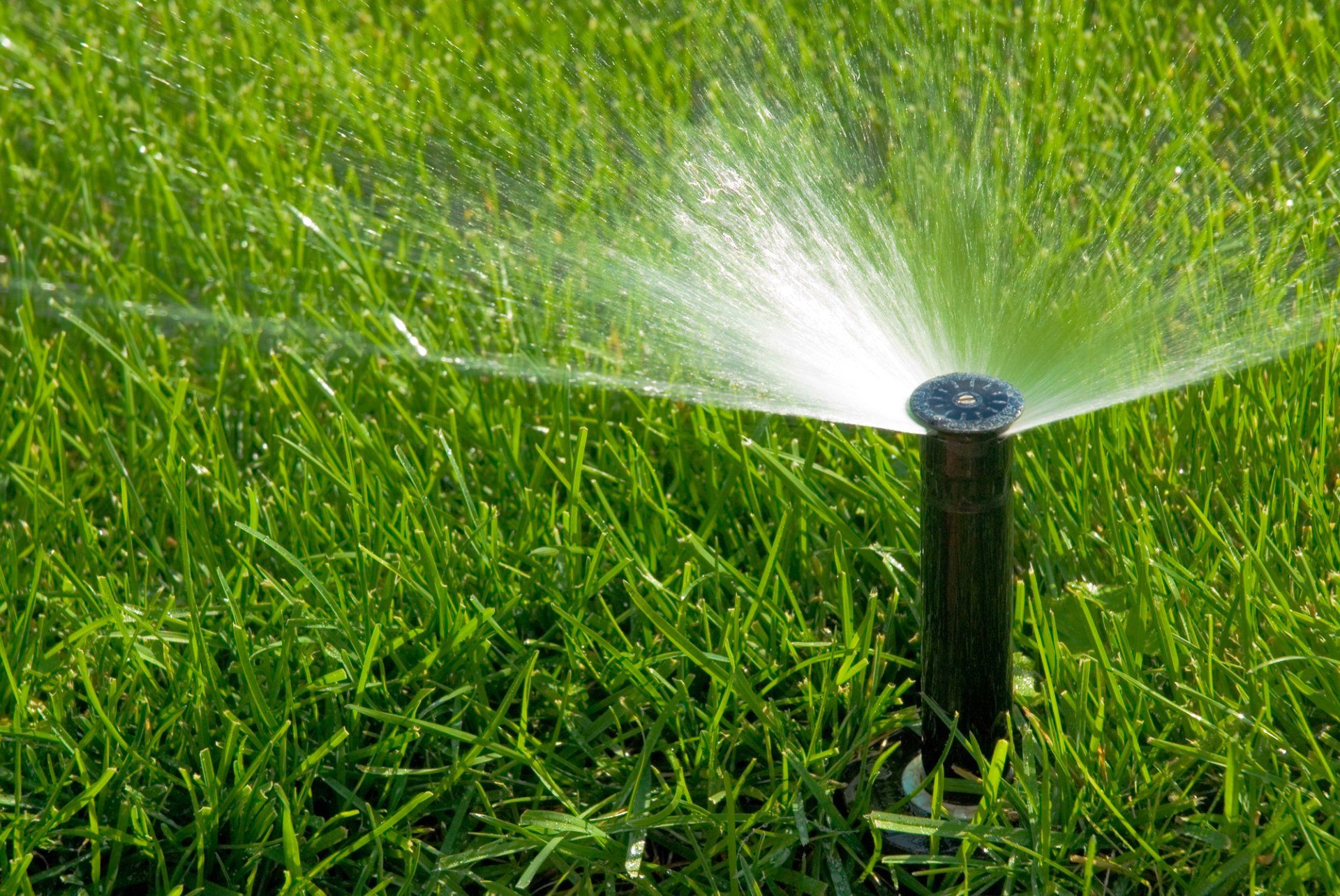 Sprinklers in Saugus, MA | Top Notch Services Inc. Sprinklers in Saugus, MA | Top Notch Services Inc.