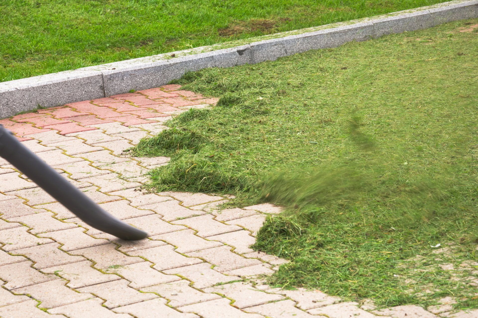 Yard Cleanups in Saugus, MA | Top Notch Services Inc. Yard Cleanups in Saugus, MA | Top Notch Services Inc.