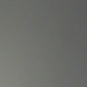Plain gray wall or background with soft lighting