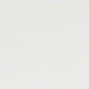 Mostly blank white surface with a small faint speck near the center-left.