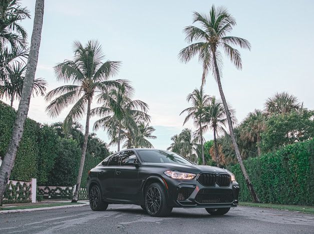 Black BMW SUV parked on road lined with palm trees.