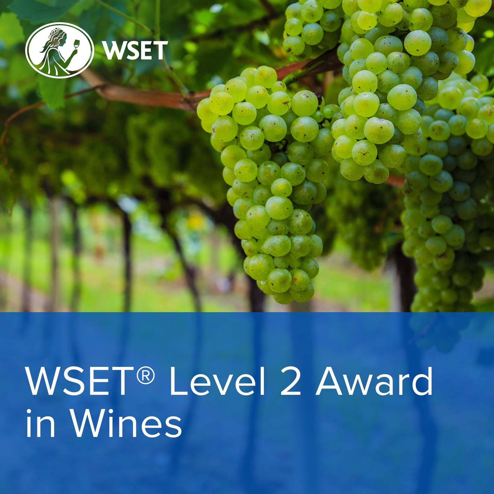 WSET® 葡萄酒第二級認證課程