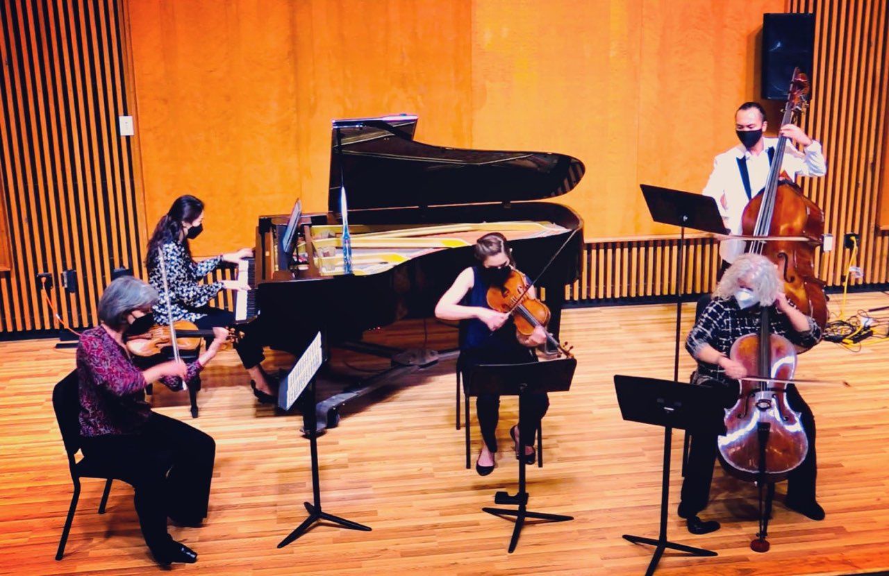 violin