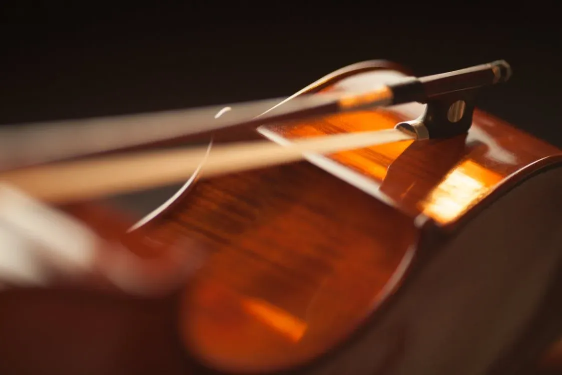 cedar top violin