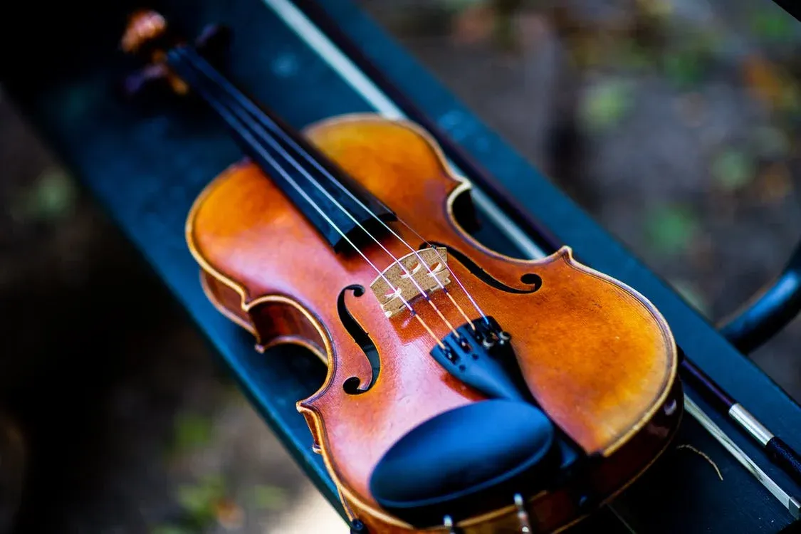 close up photo of violin