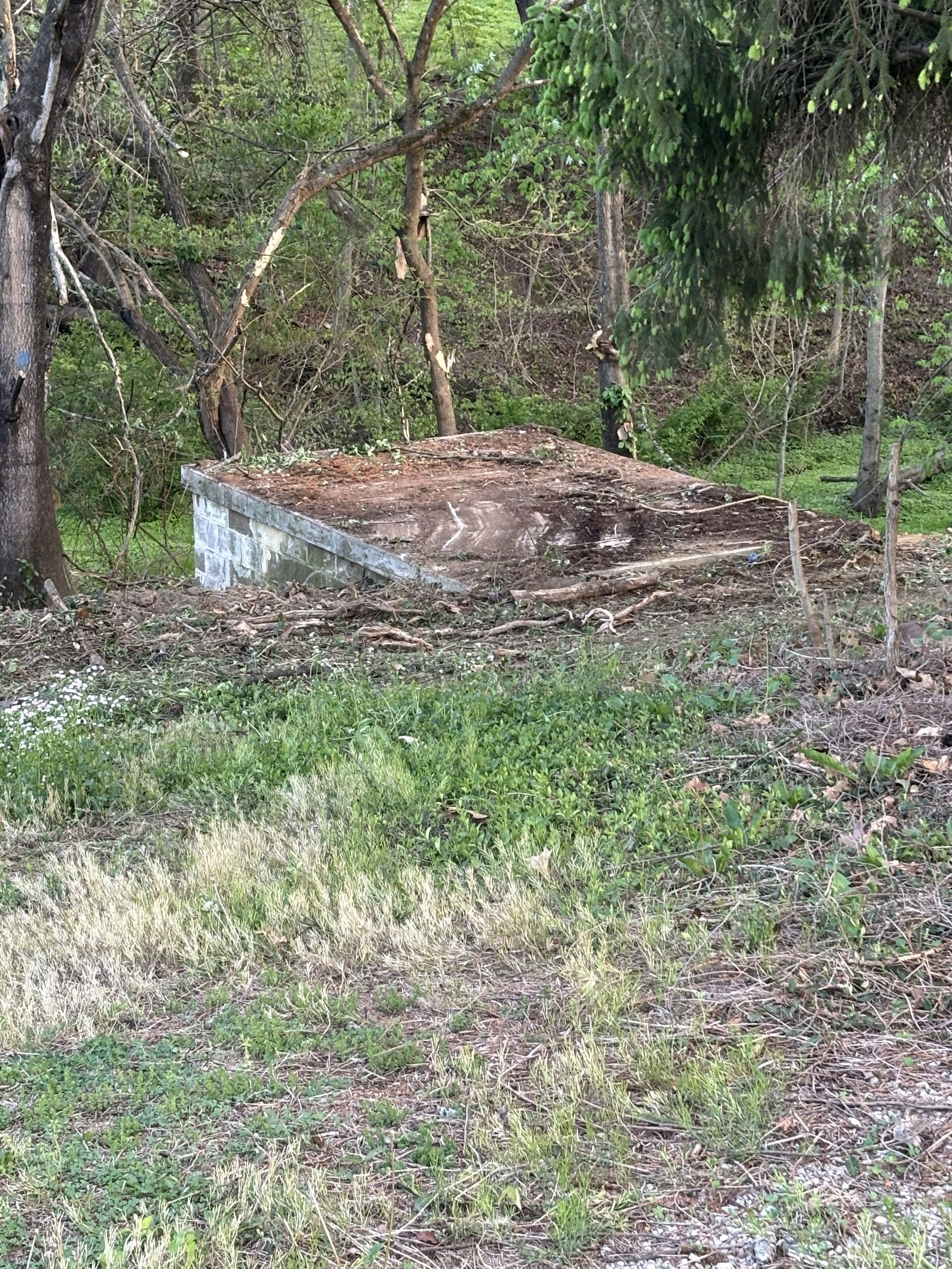 Concrete utility box in a wooded area, surrounded by grass and trees.