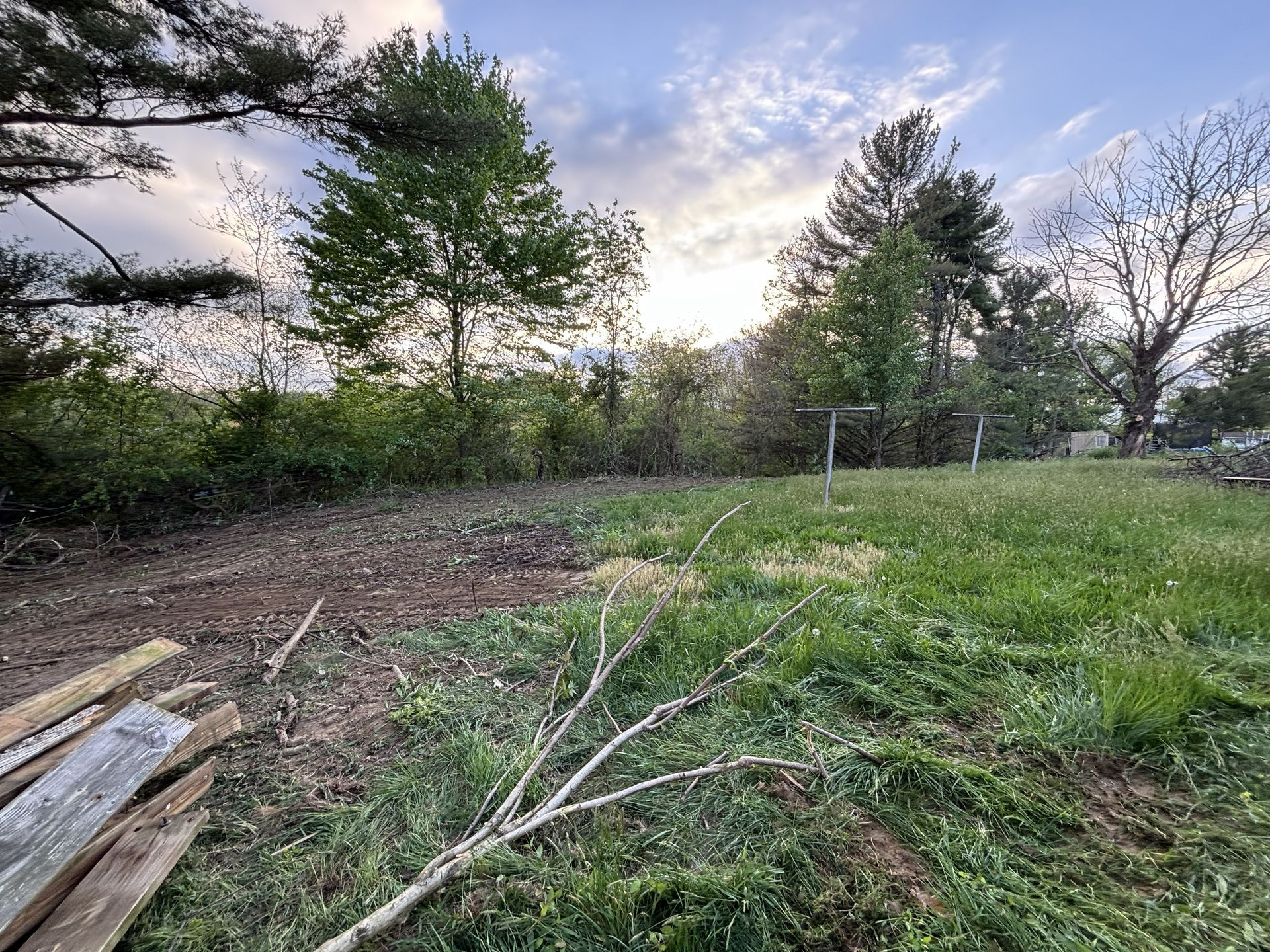 Overgrown backyard with trees, brush, scattered wood, and a chain-link fence at dusk.