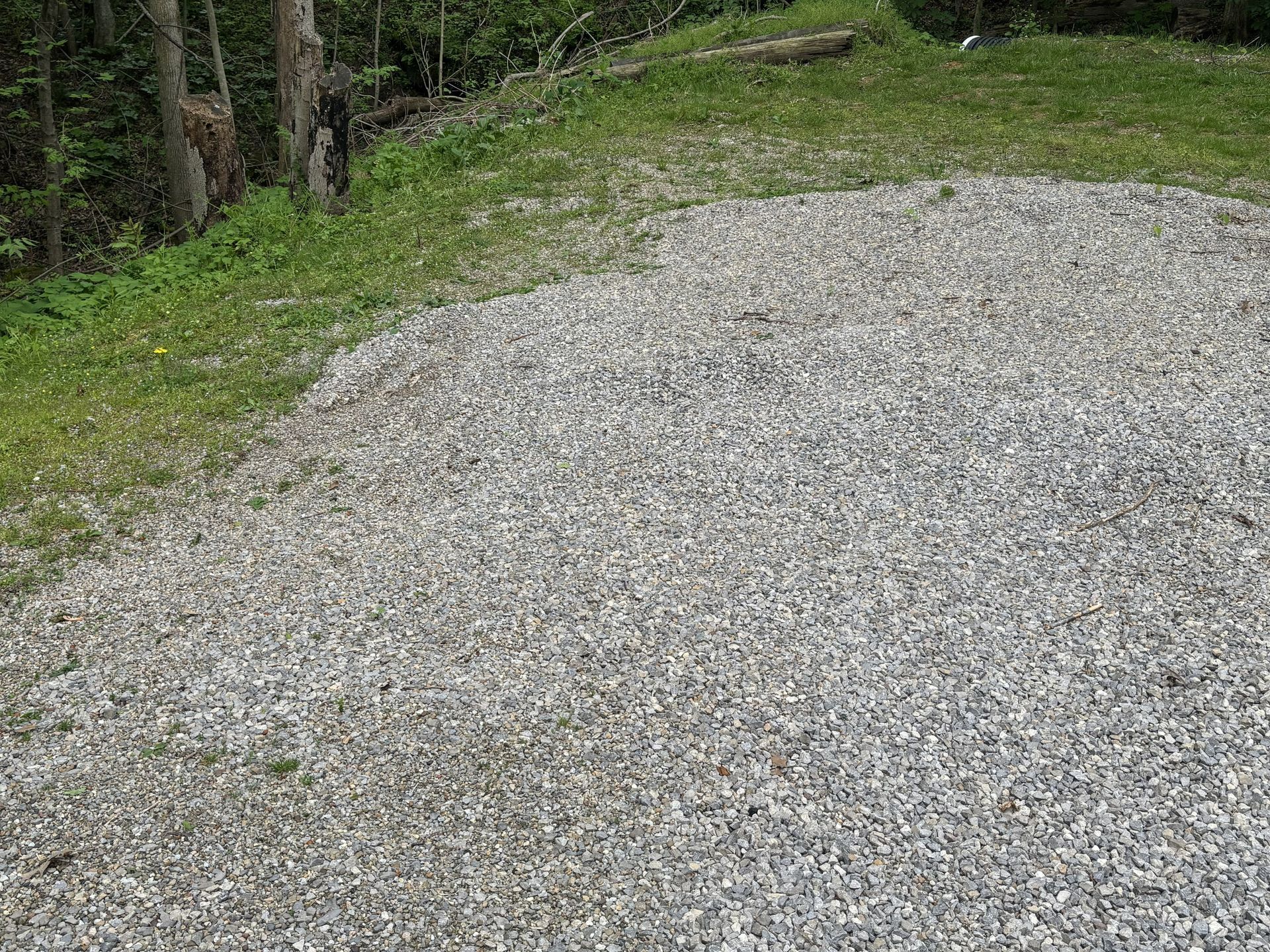 Gravel path curving through a wooded area with grass and trees