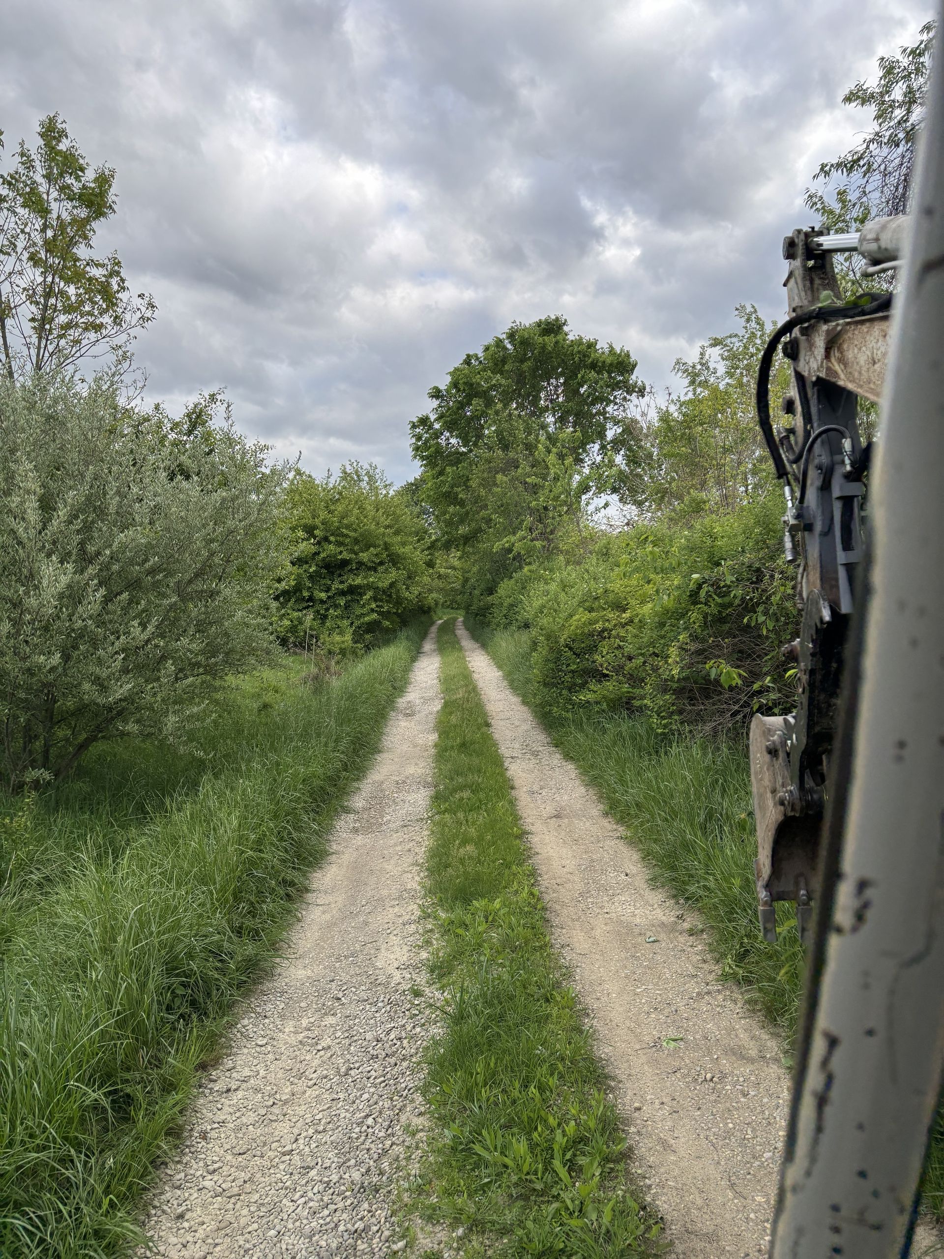 Narrow gravel path through dense green shrubs under a cloudy sky, with part of a vehicle at right.