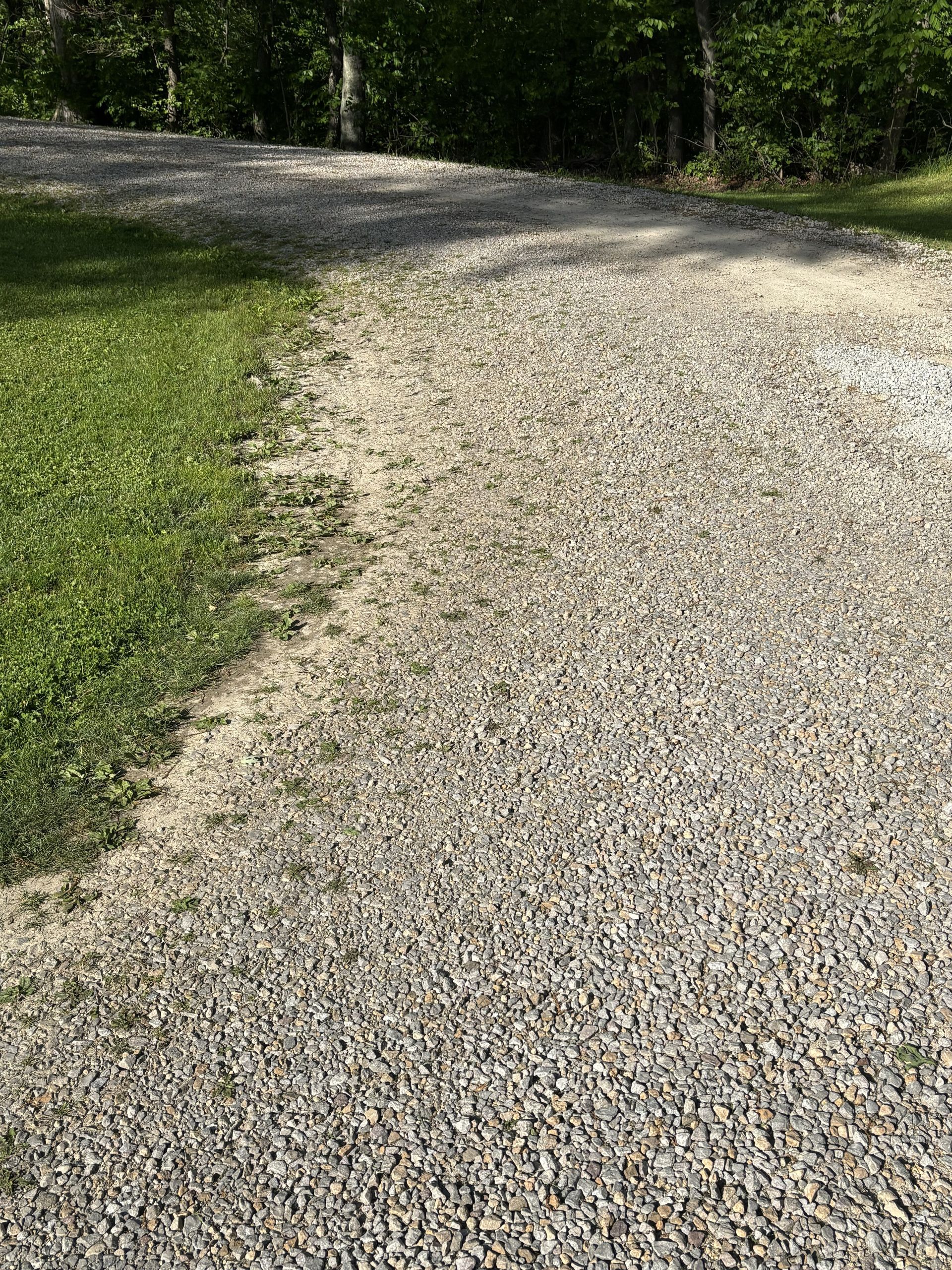 Gravel path curving through a grassy area beside trees in sunlight