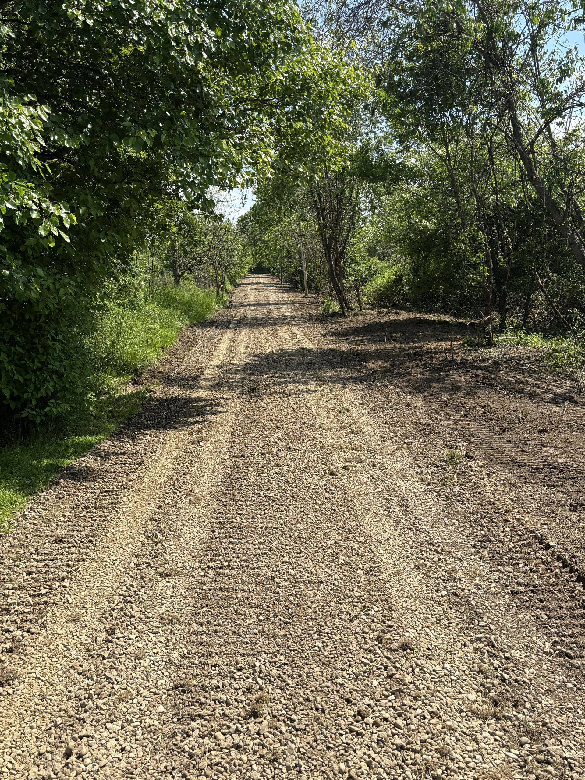Gravel road through green trees under bright sunlight