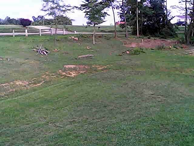 Grassy field with a white fence, scattered trees, and a dirt patch on a cloudy day