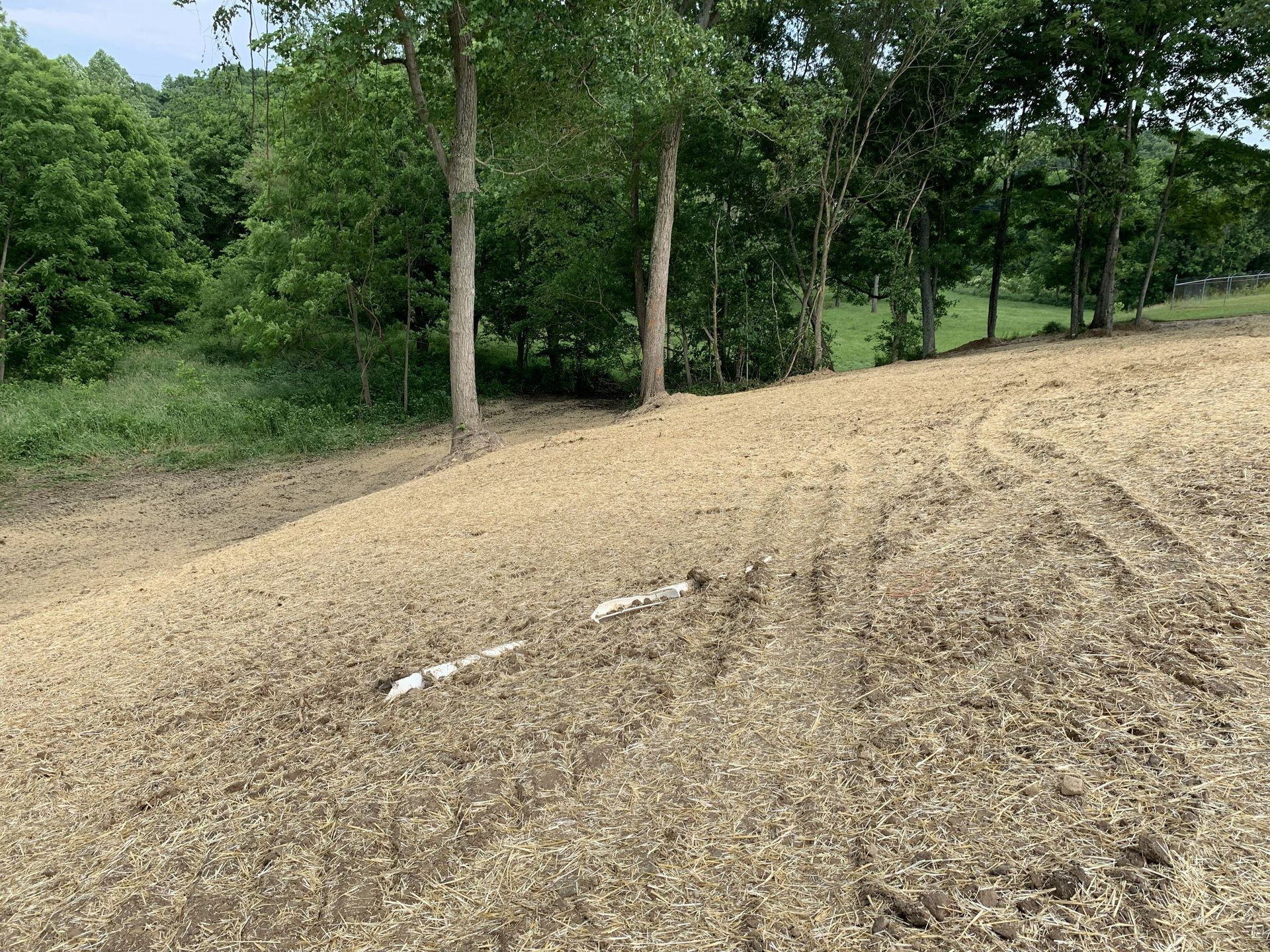Dirt path beside a grassy wooded area with trees and a sloping sandy hillside