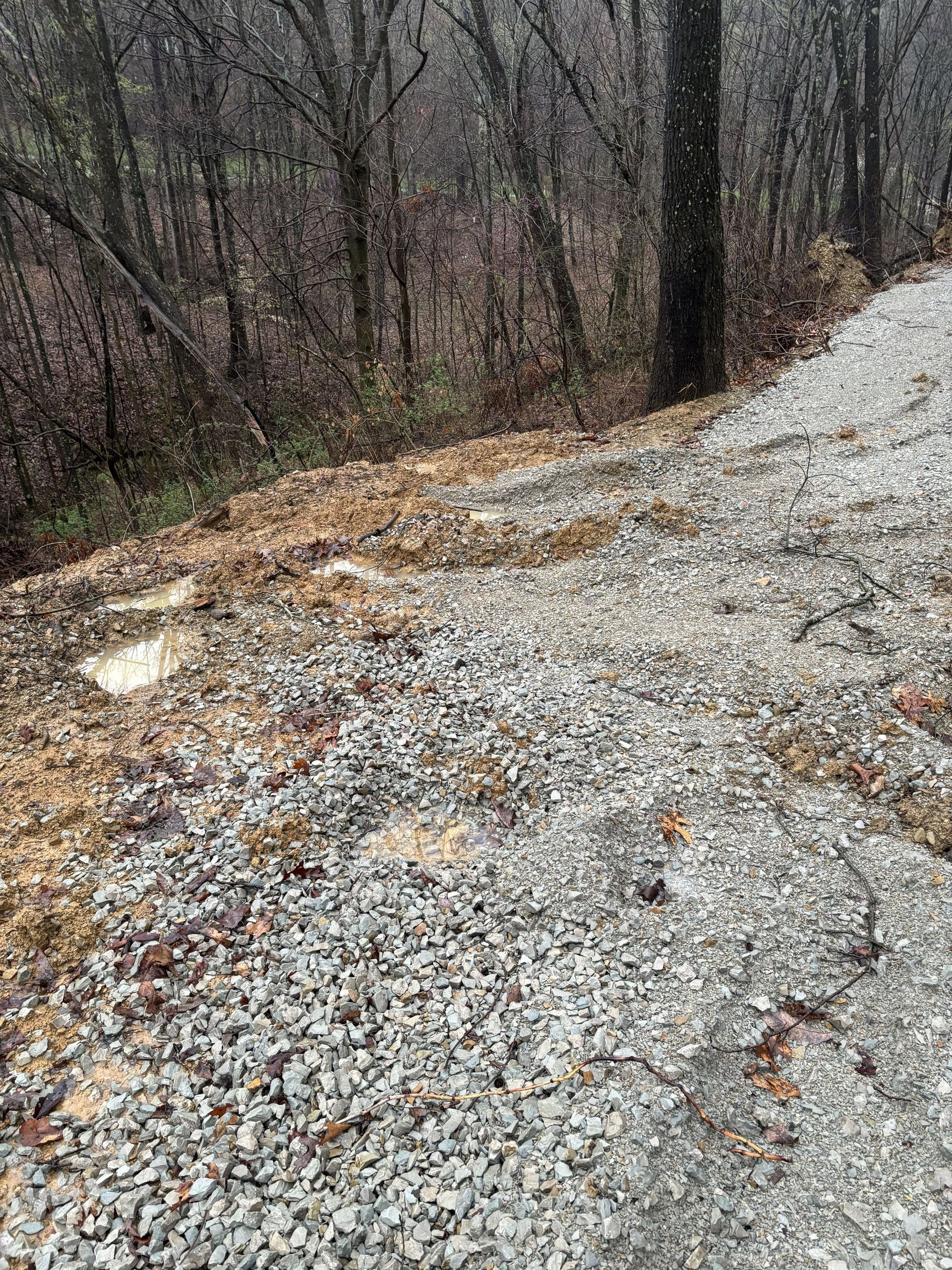 Gravel road curving through a leafless wooded area on a rainy day