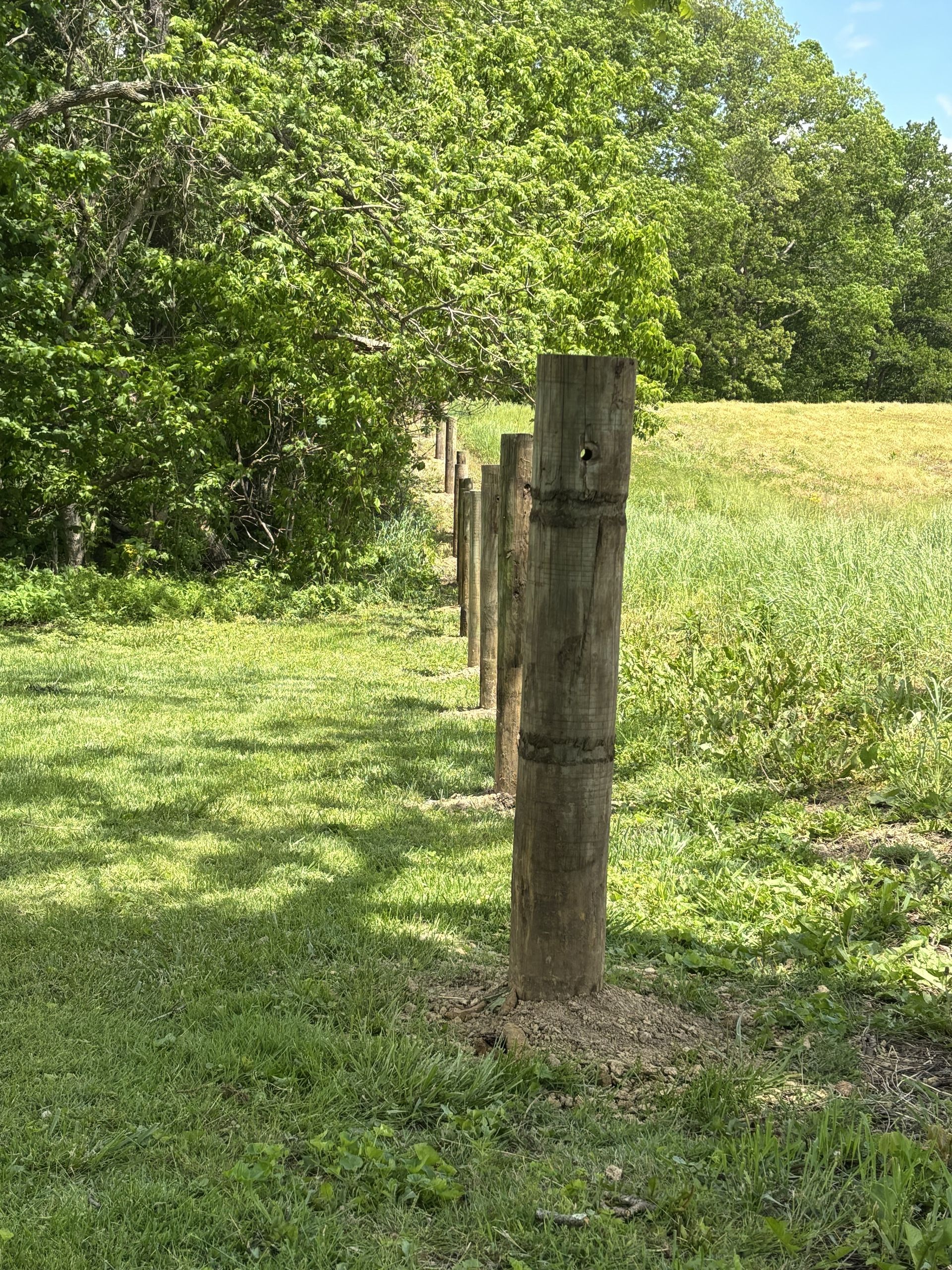 Weathered wooden post in grassy field beside trees and a yellow crop field
