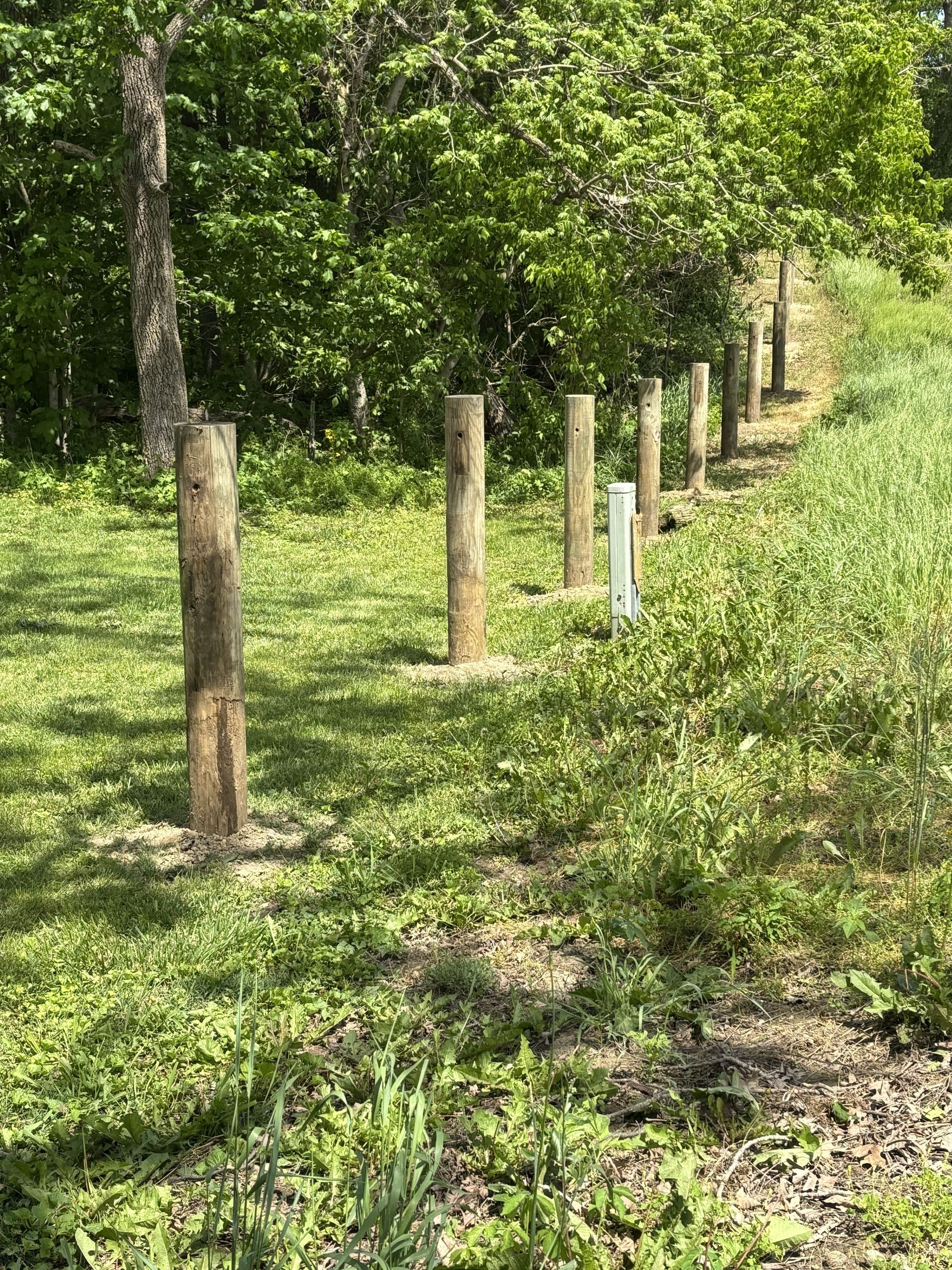 Wooded trail lined with weathered fence posts and green grass under leafy trees