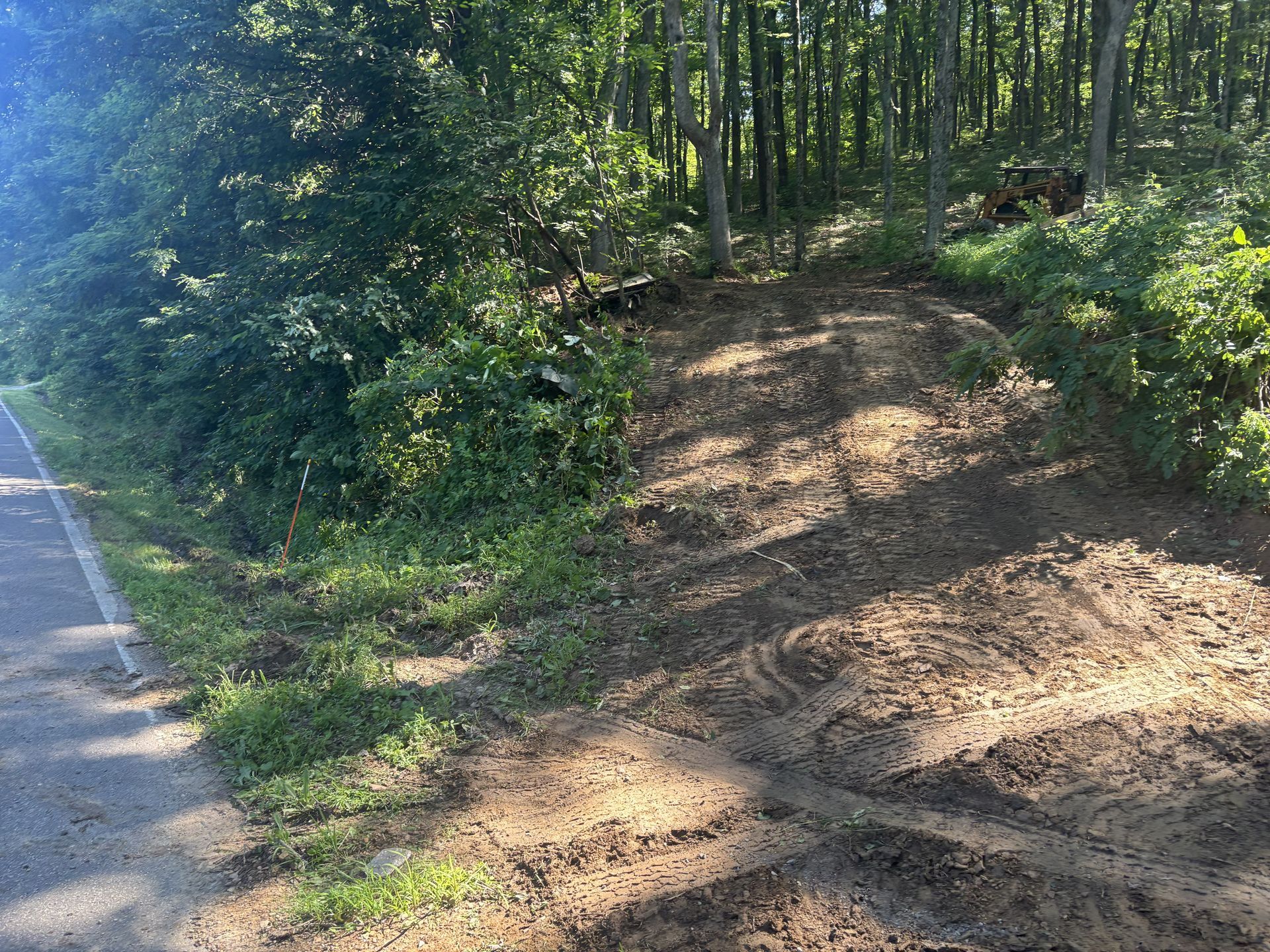 Dirt path into a wooded area beside a paved road, with sunlight filtering through trees