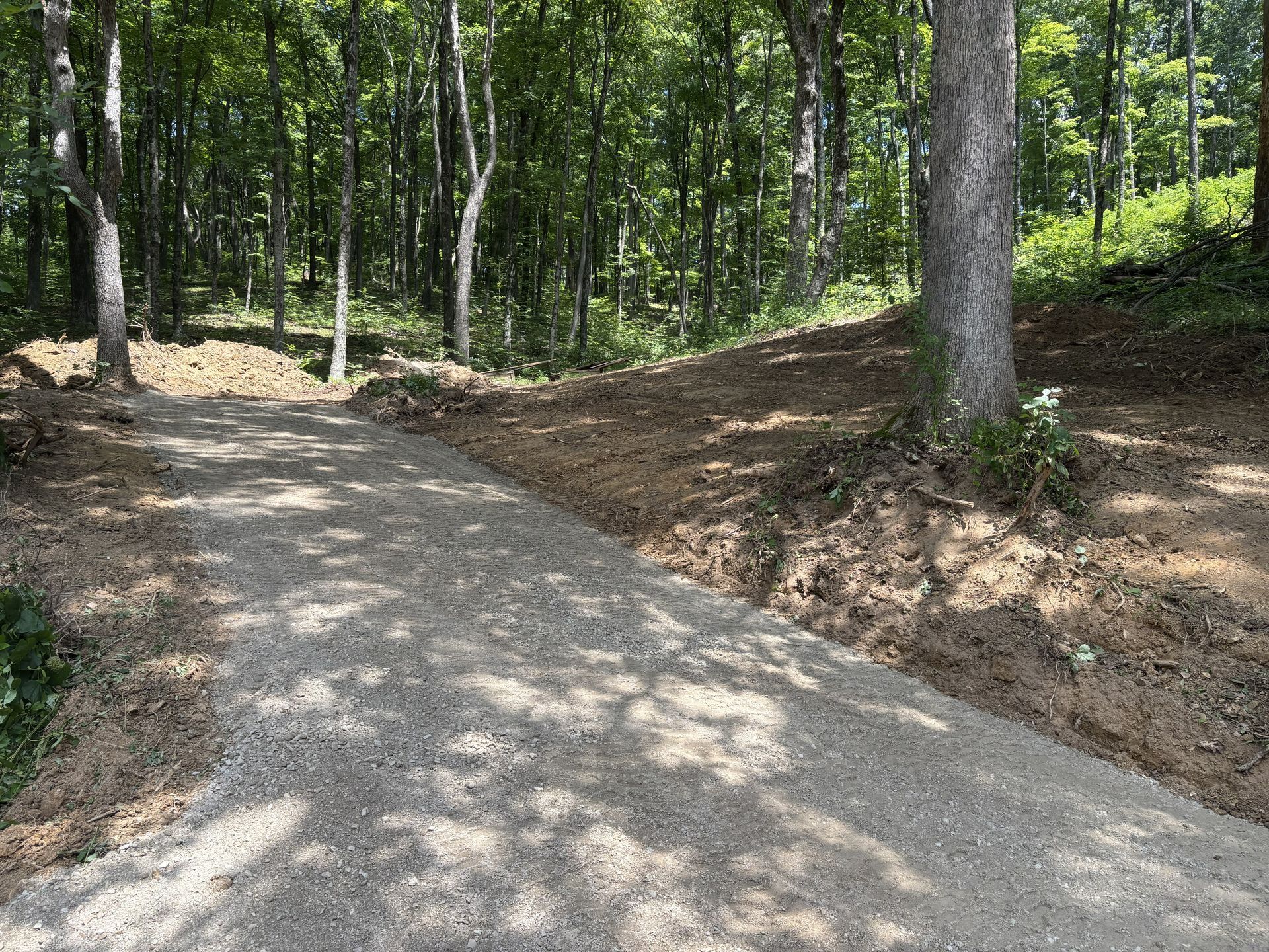 Gravel path winding through a sunlit wooded area with trees and dirt banks on both sides