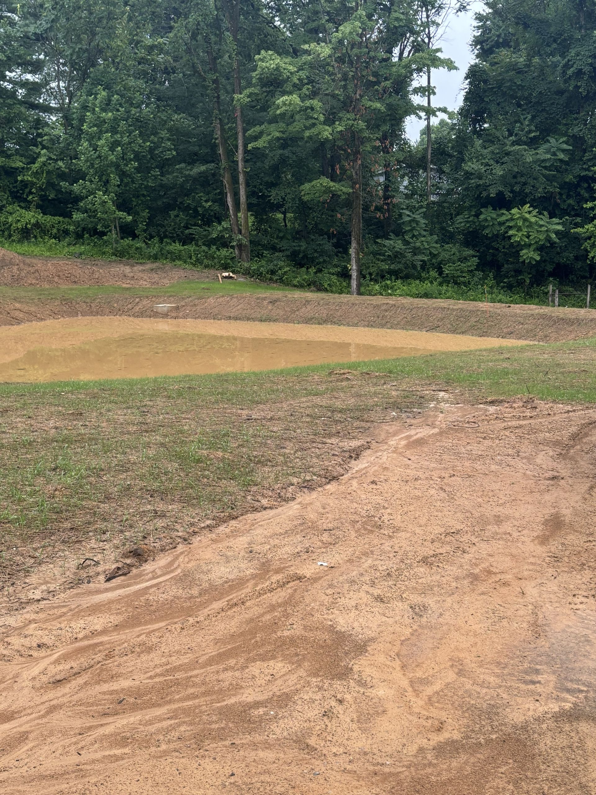 Dirt track curving through a grassy clearing with dense green trees in the background